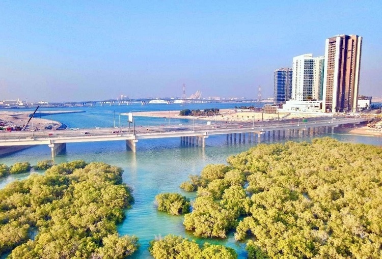 圖為瑞姆橋施工現(xiàn)場。中國土木供圖