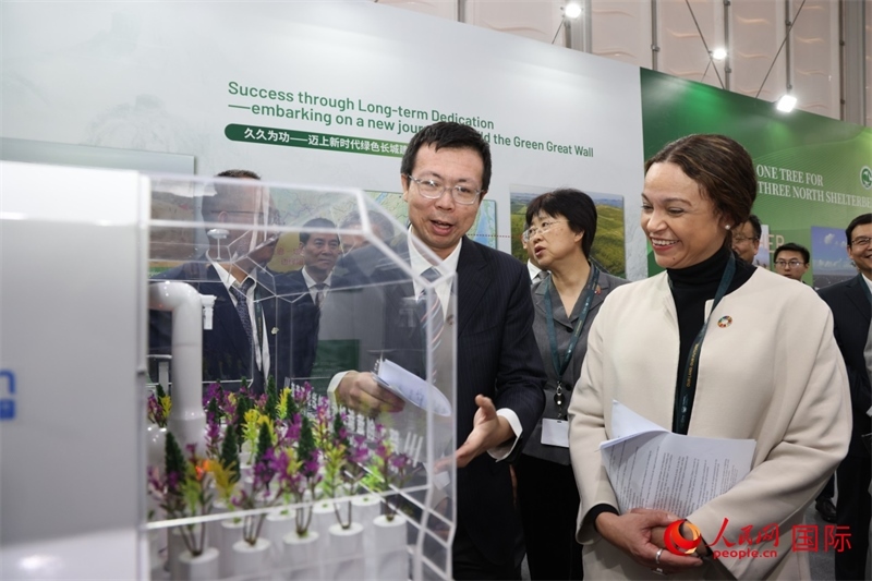 嘉賓參觀中國(guó)館。人民網(wǎng)記者任皓宇攝