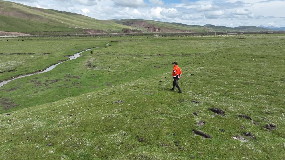 9月24日，生態(tài)管護員那瓦才郎在草場上巡護。（受訪者供圖）