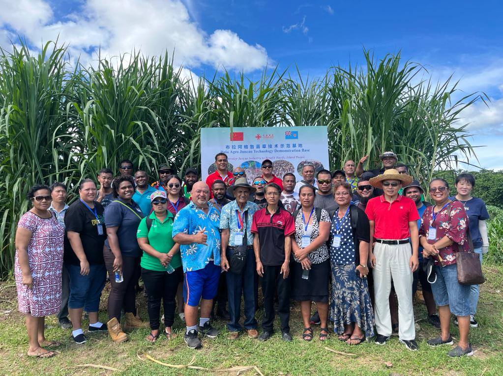 2024年2月28日，來(lái)自巴布亞新幾內(nèi)亞、湯加、庫(kù)克群島、薩摩亞、瑙魯?shù)葒?guó)家的“太平洋島國(guó)菌草技術(shù)培訓(xùn)班”學(xué)員在斐濟(jì)布拉阿格魯菌草技術(shù)示范基地合影。新華社發(fā)（中國(guó)援斐濟(jì)菌草技術(shù)示范中心供圖）