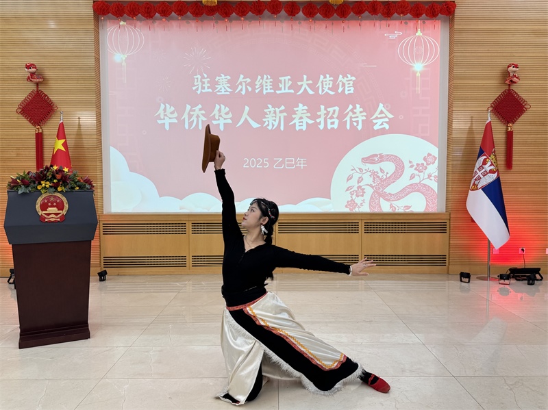 招待會(huì)現(xiàn)場表演。諾維薩德孔子學(xué)院供圖