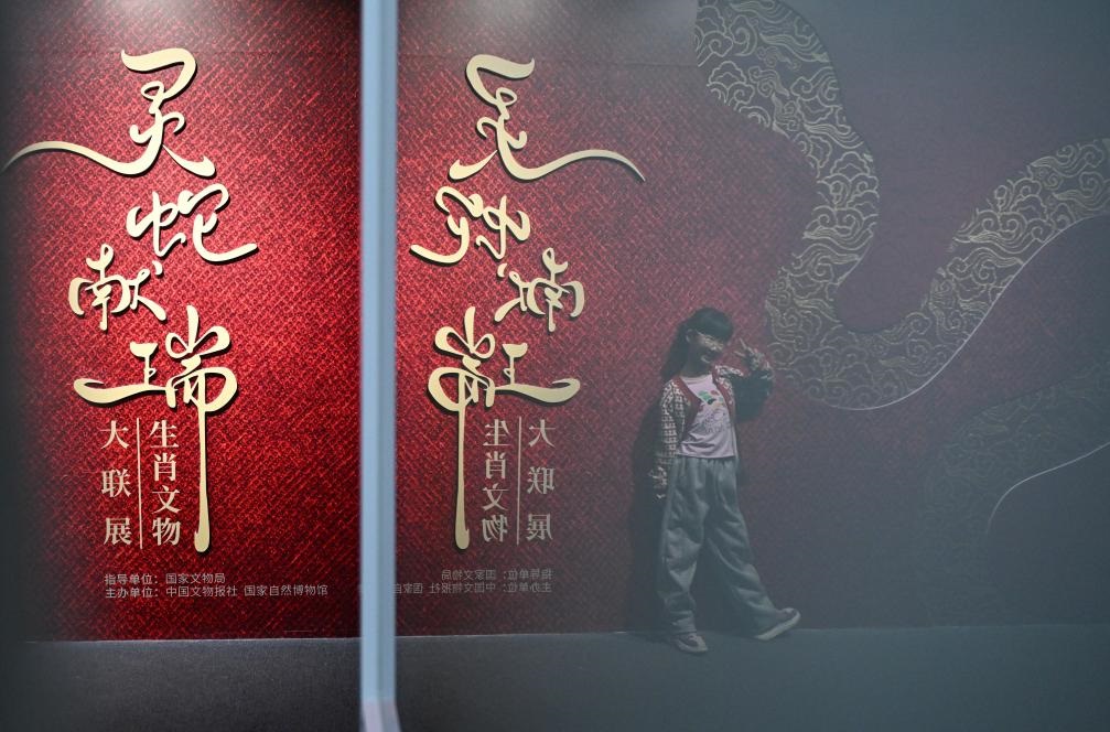 1月18日，一名小朋友在國(guó)家自然博物館舉辦的“靈蛇獻(xiàn)瑞——2025乙巳蛇年生肖文物大聯(lián)展”展覽中拍照留念。（新華社記者 陳鐘昊 攝）