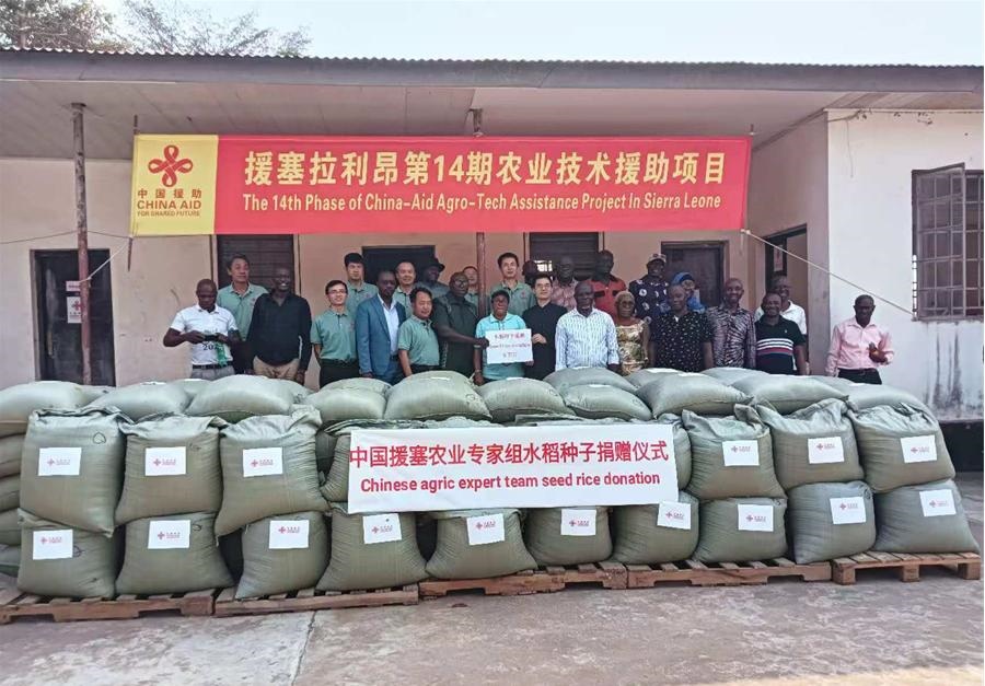 中國(guó)援塞拉利昂農(nóng)業(yè)專家組在塞南方省博城舉辦水稻種子捐贈(zèng)儀式。中國(guó)援塞農(nóng)業(yè)專家組供圖
