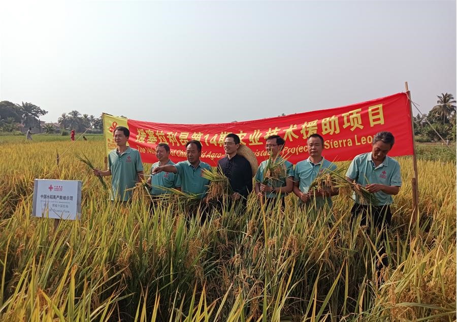 中國(guó)駐塞拉利昂大使王擎和援塞農(nóng)業(yè)專家組合影。中國(guó)援塞農(nóng)業(yè)專家組供圖