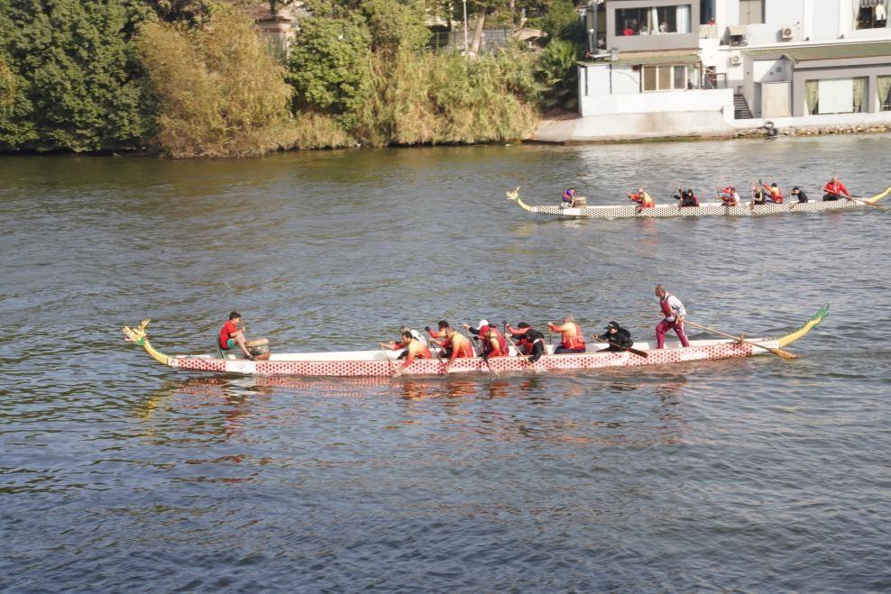 活動(dòng)現(xiàn)場(chǎng)龍舟競(jìng)技，共慶春節(jié)。開(kāi)羅中國(guó)文化中心供圖