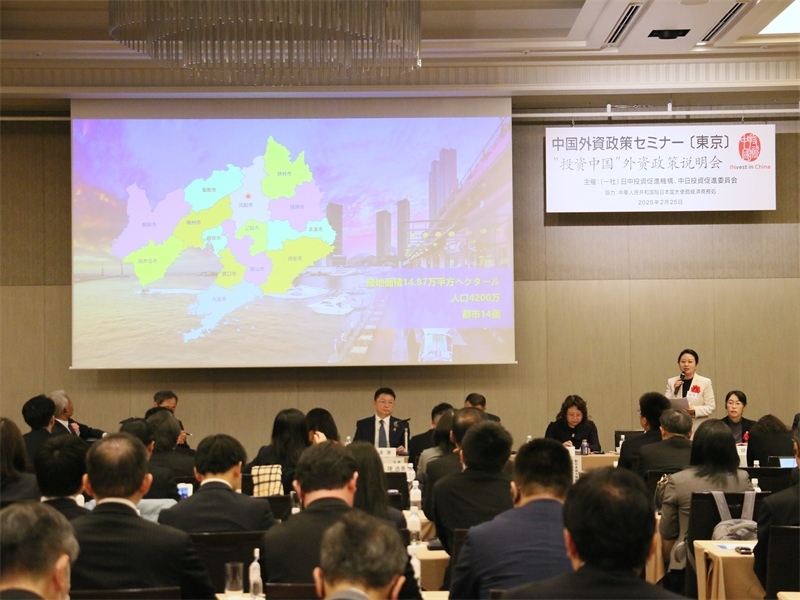 地方代表進(jìn)行專題投資推介。人民網(wǎng) 許可攝
