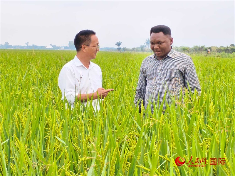 專家組組長楊華德在與農(nóng)民學(xué)員交流。人民網(wǎng)記者黃培昭攝