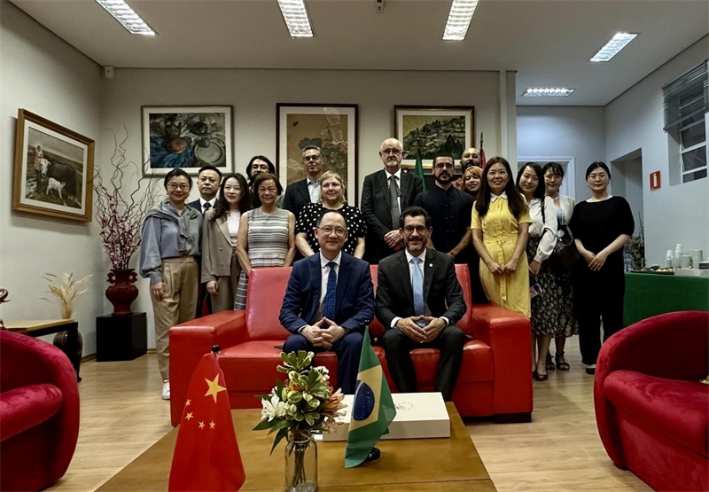 圖為參加座談會的來賓合影留念。 圣保羅州立大學(xué)孔子學(xué)院供圖