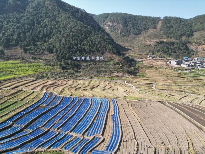 △近日，四川涼山一現(xiàn)代農(nóng)業(yè)園春耕育秧搶農(nóng)時(shí)。