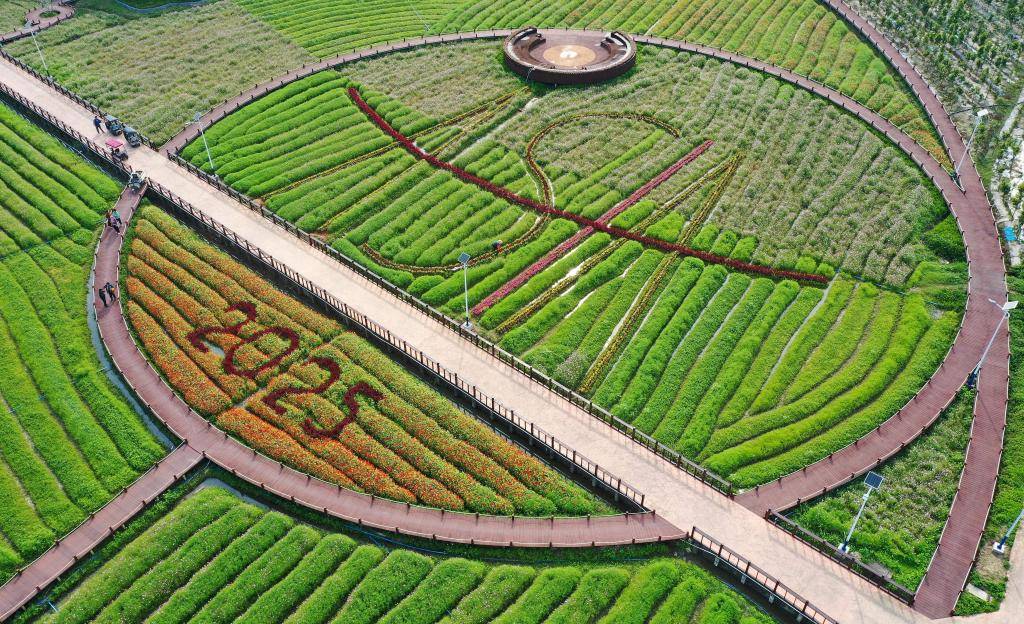 這是3月21日拍攝的瓊海博鰲南強村景色（無人機照片）。新華社記者 郭程 攝