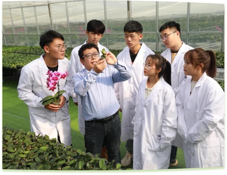 濰坊工程職業(yè)學(xué)院科技創(chuàng)新團(tuán)隊(duì)為花卉行業(yè)從業(yè)者作蝴蝶蘭雜交選育技術(shù)指導(dǎo)。學(xué)校供圖
