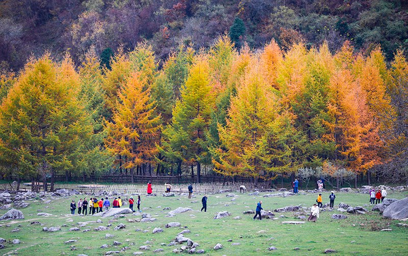 2023年10月27日，深秋時節(jié)的陜西秦嶺太子嶺五彩斑斕，進(jìn)入最佳觀賞期。