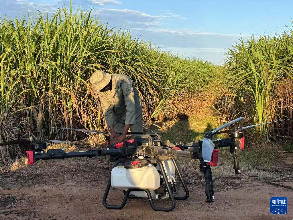 3月25日，在南非夸祖魯-納塔爾省的方廷希爾莊園，工作人員為無人機做起飛作業(yè)前的準備。新華社記者 白舸 攝