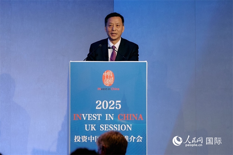 中國駐英國大使館經濟商務公使余本林發(fā)表致辭。楊浩鵬攝