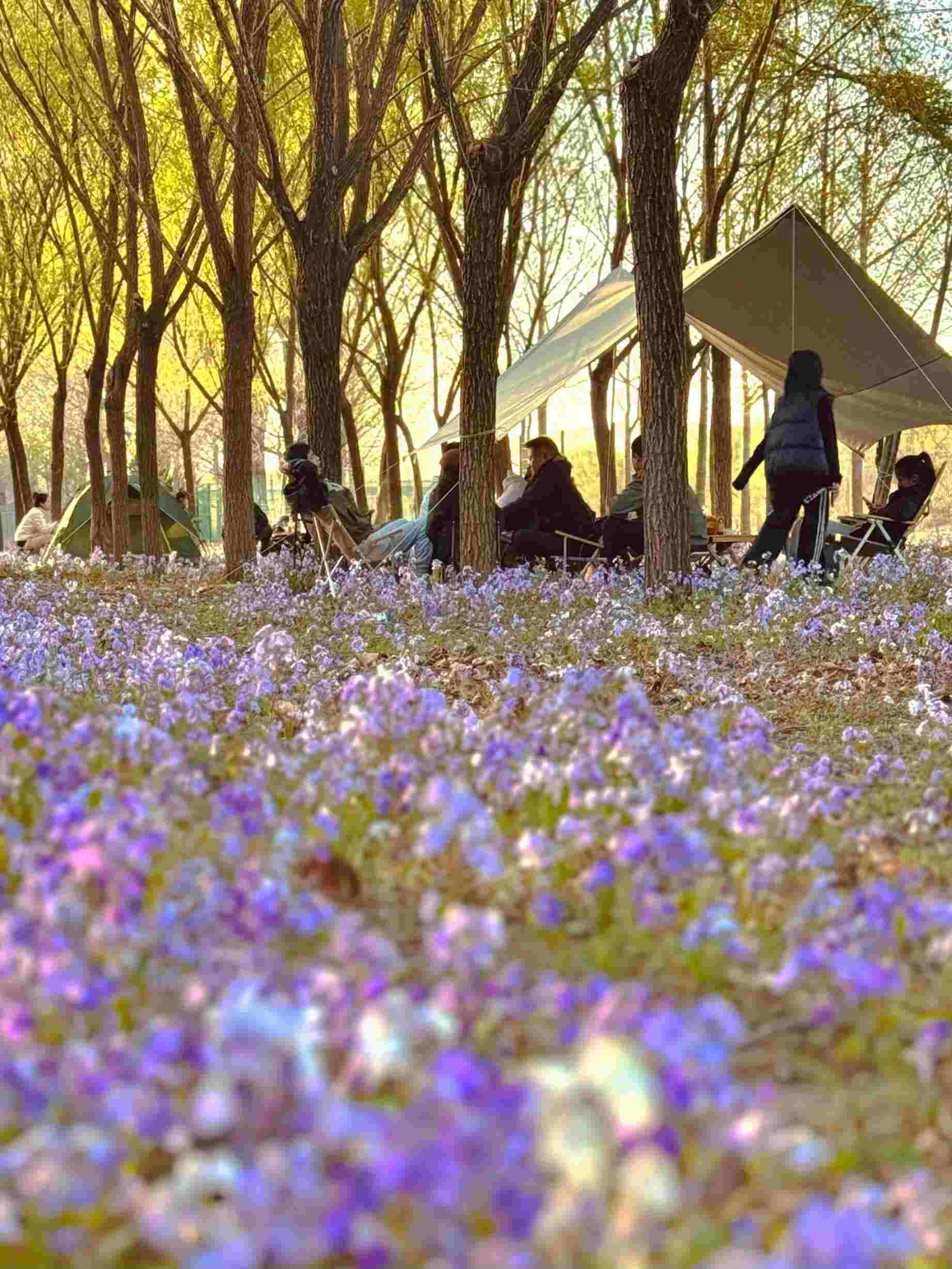 清明假期期間，范女士一家在北京溫榆河邊露營(yíng)。受訪者供圖