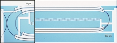 微波光量子傳感器的光學(xué)顯微照片。圖片來源：美國哈佛大學(xué)