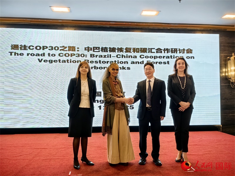 中國國家林業(yè)和草原局副局長李云卿（右二）、巴西環(huán)境和氣候變化部部長瑪麗娜·席爾瓦（左二）、巴西財政部副部長羅熙丹（右一）、巴西駐華大使館公參樂美（左一）出席“通往COP30之路：中巴植樹造林和碳匯合作研討活動”。人民網(wǎng)記者 符園園攝
