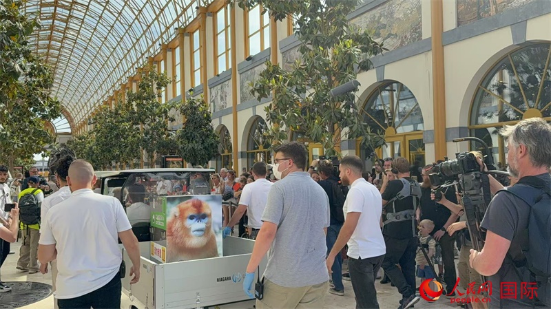 圖為活動(dòng)現(xiàn)場(chǎng)。人民網(wǎng)記者 牛瑞飛攝