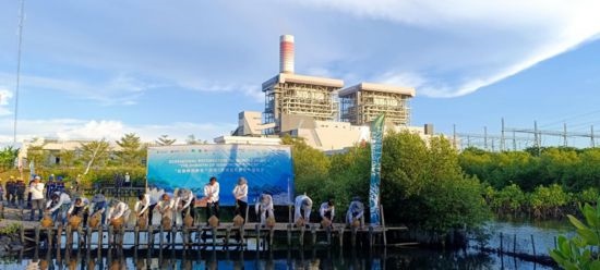 5月18日，中印尼嘉賓在爪哇7號燃煤電站舉行紅樹林補植儀式。記者 曹凱 攝