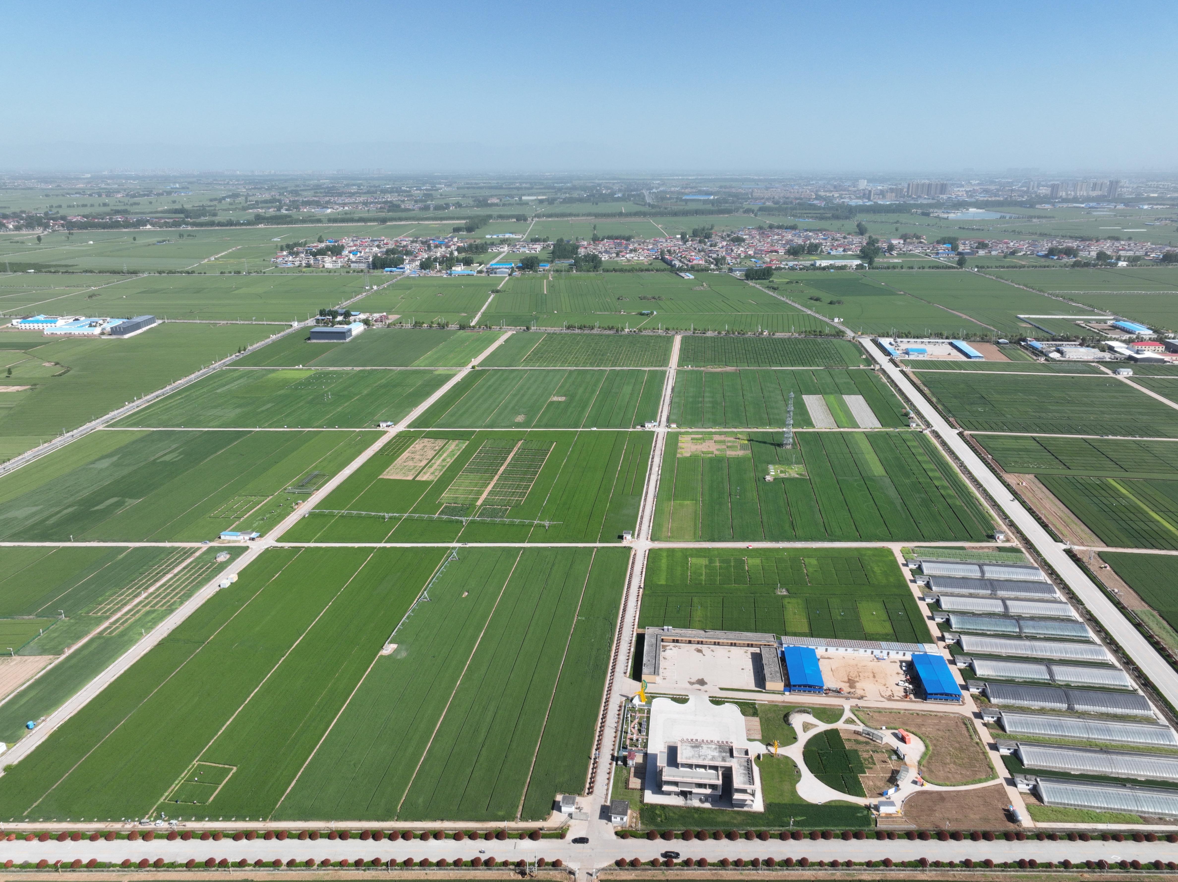 俯瞰水利部灌溉試驗總站試驗研究基地。受訪者供圖