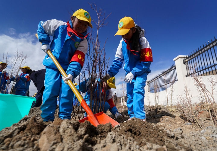 2025年4月25日，西藏那曲市小學生在植樹。新華社記者 晉美多吉 攝